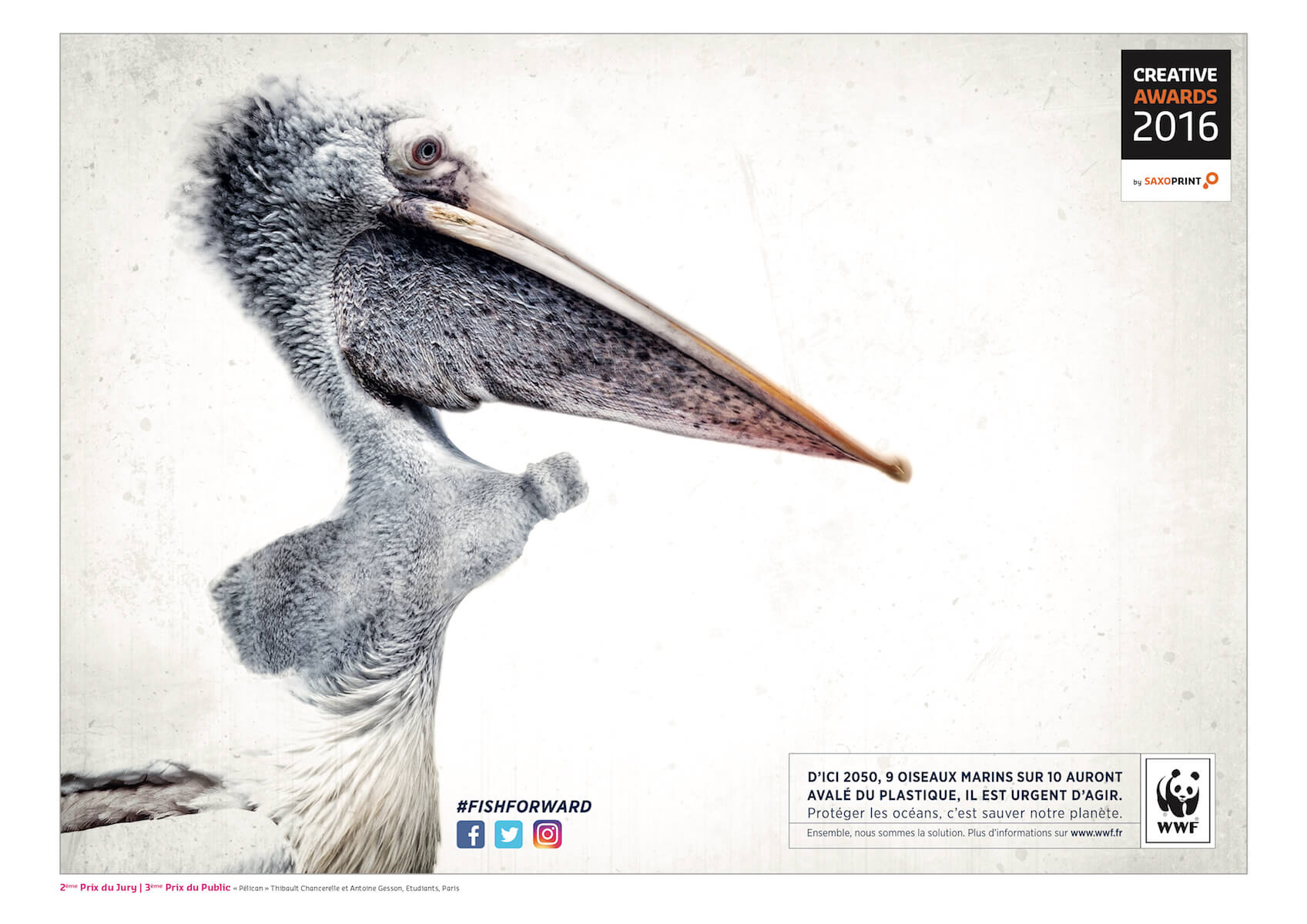 concours-pelican